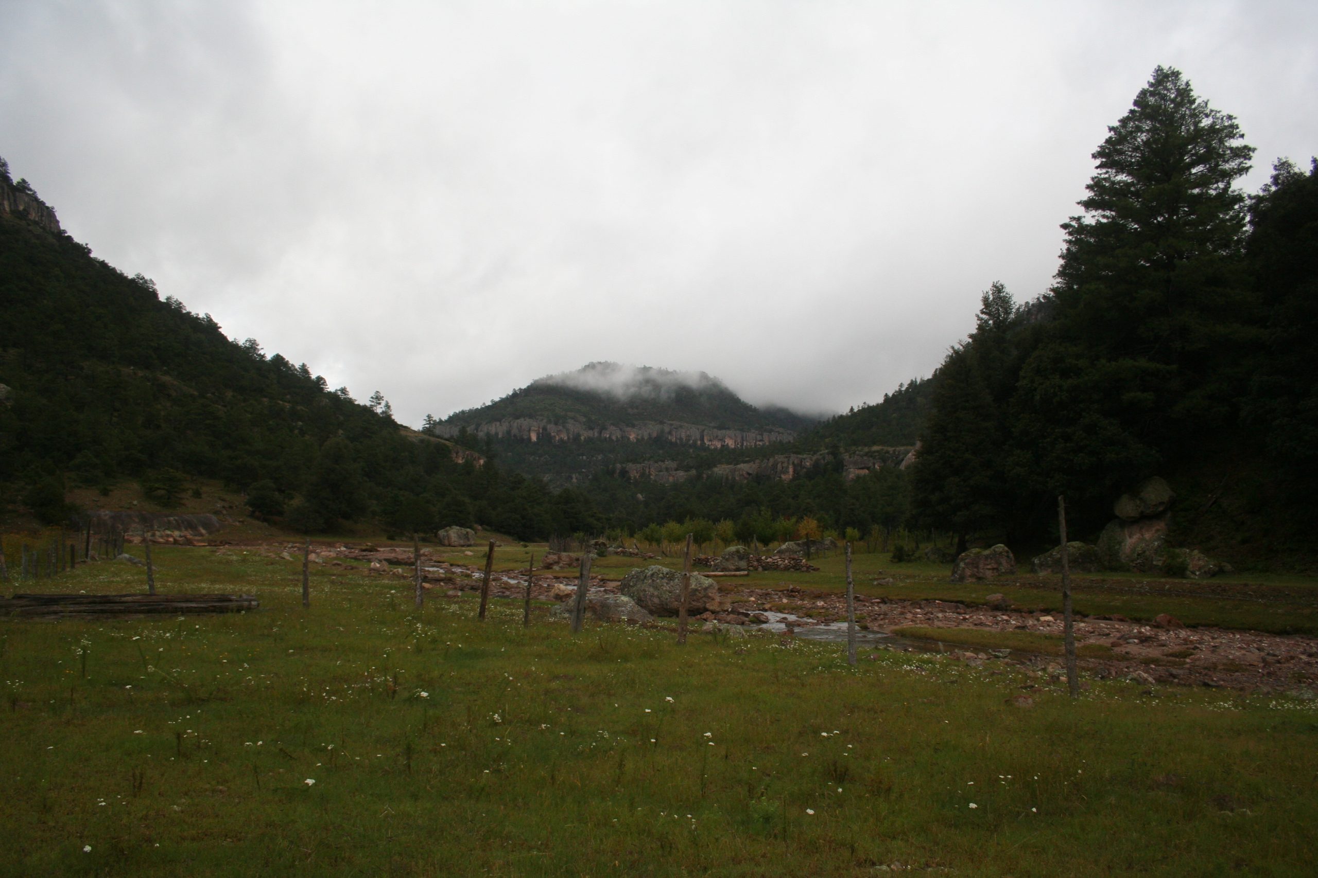 Tenencia legal de la tierra en Parques Nacionales